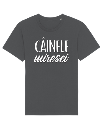 Tricou poze nunta - cainele miresei Anthracite