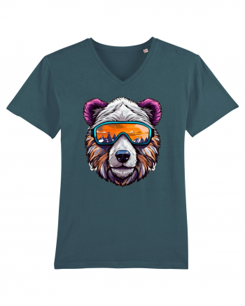 Snowboarding bear Stargazer