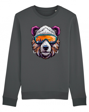 Snowboarding bear Anthracite