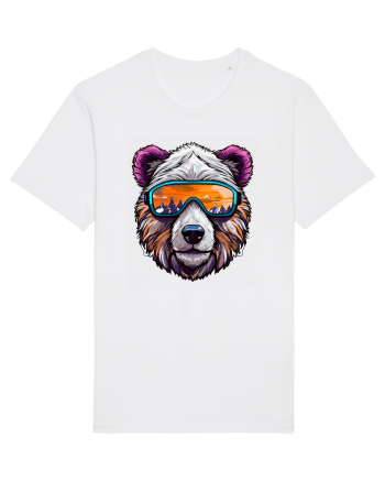 Snowboarding bear White