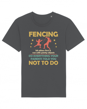 Fencing Do Everything Your Parents Told You No To Do Anthracite