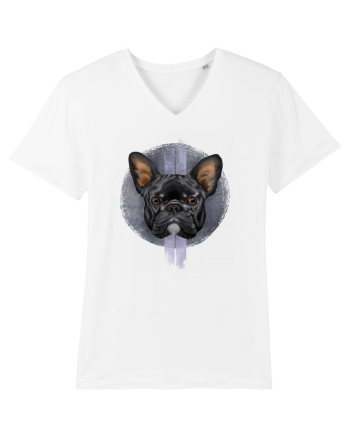 French Bulldog White