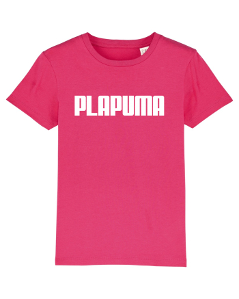PLAPUMA Raspberry