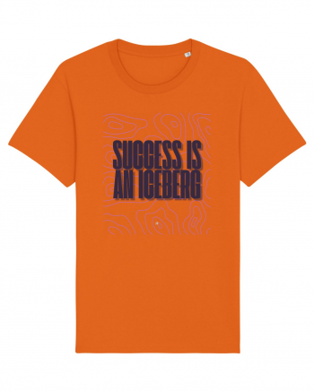 success is an iceberg Bright Orange