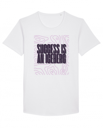 success is an iceberg White