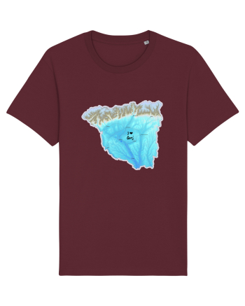 Gorj County Map Burgundy