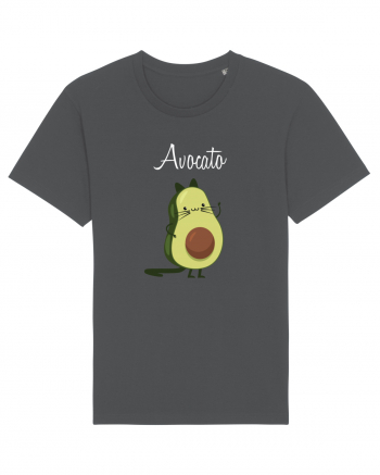 Avocato Anthracite