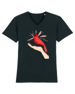 Zbor liber Tricou mânecă scurtă guler V Bărbat Presenter