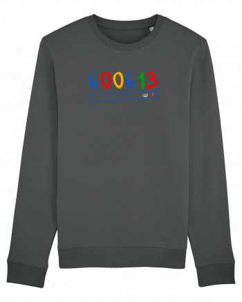 600613 Anthracite