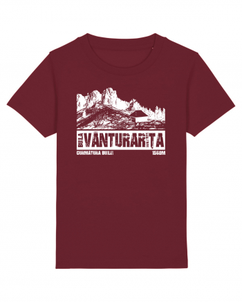Călător în România - Curmătura Builei Burgundy