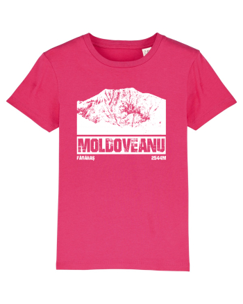 Călător în România - Vf Moldoveanu Raspberry