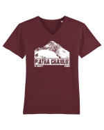 Călător în România - Vf Ascuțit in Piatra Craiului Tricou mânecă scurtă guler V Bărbat Presenter