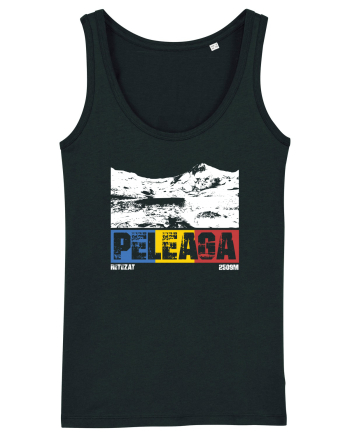 pentru montaniarzi - Romania - Peleaga Black