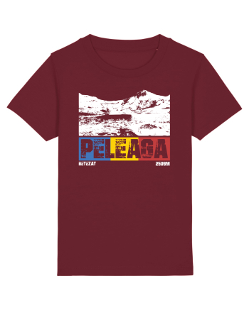 pentru montaniarzi - Romania - Peleaga Burgundy