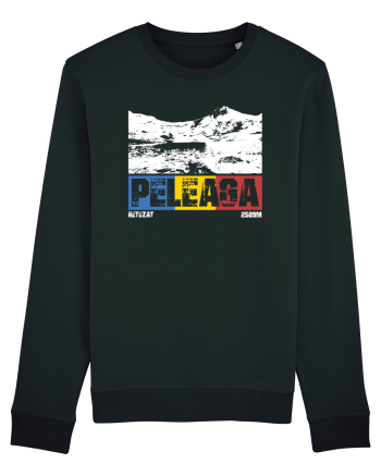 pentru montaniarzi - Romania - Peleaga Black