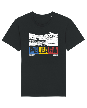 pentru montaniarzi - Romania - Peleaga Black