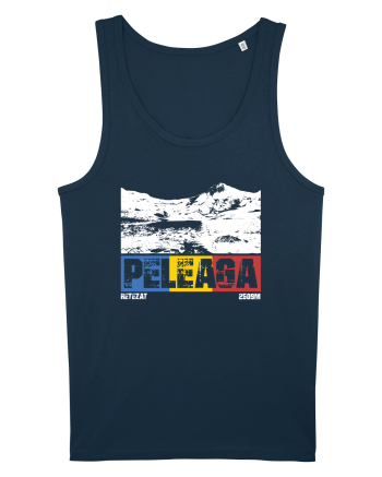 pentru montaniarzi - Romania - Peleaga Navy