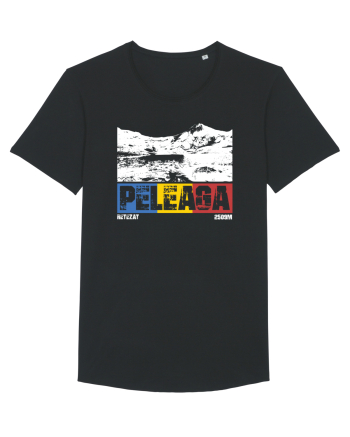 pentru montaniarzi - Romania - Peleaga Black