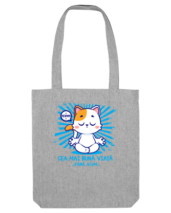 CEA MAI BUNA VIATA ... pana acum (MEOWMMM - pisica yoga) Heather Grey