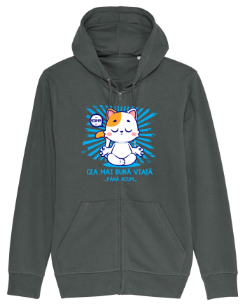 CEA MAI BUNA VIATA ... pana acum (MEOWMMM - pisica yoga) Anthracite