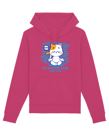 CEA MAI BUNA VIATA ... pana acum (MEOWMMM - pisica yoga) Raspberry