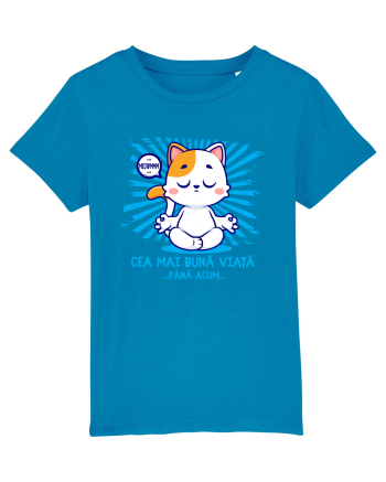 CEA MAI BUNA VIATA ... pana acum (MEOWMMM - pisica yoga) Azur