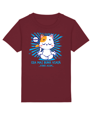 CEA MAI BUNA VIATA ... pana acum (MEOWMMM - pisica yoga) Burgundy