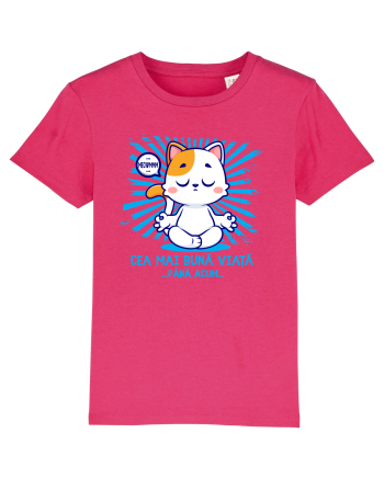 CEA MAI BUNA VIATA ... pana acum (MEOWMMM - pisica yoga) Raspberry