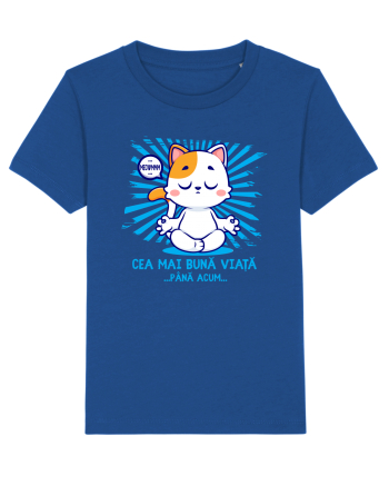 CEA MAI BUNA VIATA ... pana acum (MEOWMMM - pisica yoga) Majorelle Blue