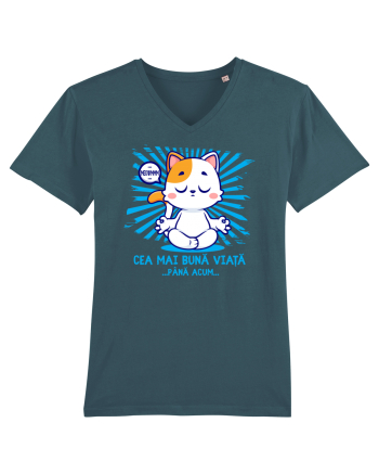 CEA MAI BUNA VIATA ... pana acum (MEOWMMM - pisica yoga) Stargazer