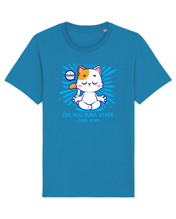 CEA MAI BUNA VIATA ... pana acum (MEOWMMM - pisica yoga) Azur