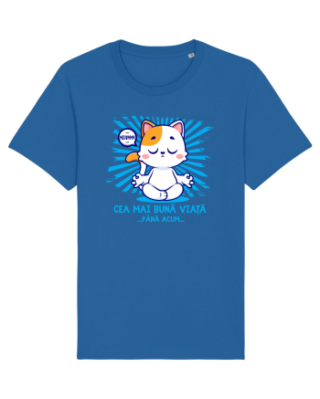 CEA MAI BUNA VIATA ... pana acum (MEOWMMM - pisica yoga) Royal Blue