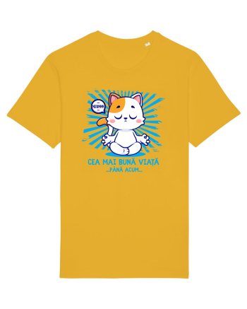 CEA MAI BUNA VIATA ... pana acum (MEOWMMM - pisica yoga) Spectra Yellow