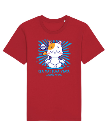 CEA MAI BUNA VIATA ... pana acum (MEOWMMM - pisica yoga) Red