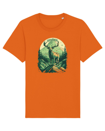 ROMANIA - RO Bright Orange