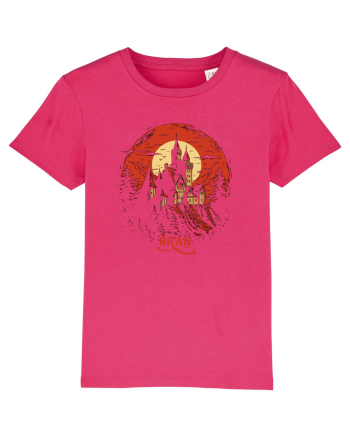 CASTELUL BRAN Raspberry