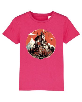 CASTELUL BRAN  1388 c Raspberry