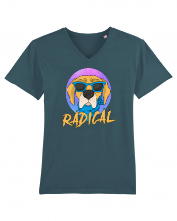 RADICAL Stargazer