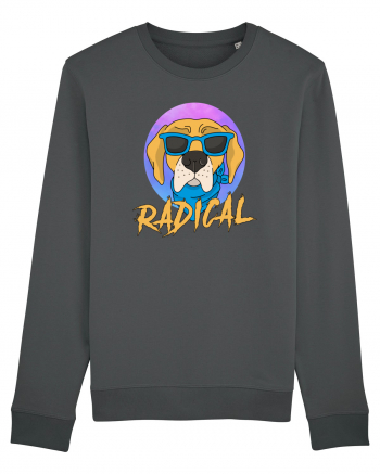 RADICAL Anthracite