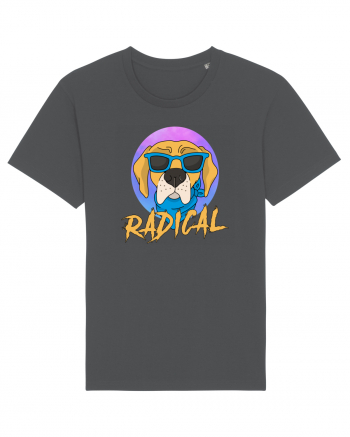 RADICAL Anthracite