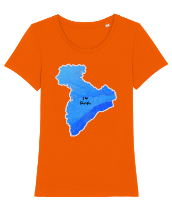 Giurgiu County Map Bright Orange