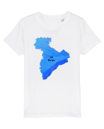 Giurgiu County Map White