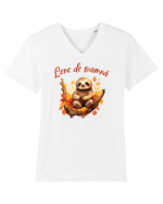 Lene de toamnă Tricou mânecă scurtă guler V Bărbat Presenter