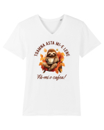 Toamna asta mi-e lene Tricou mânecă scurtă guler V Bărbat Presenter