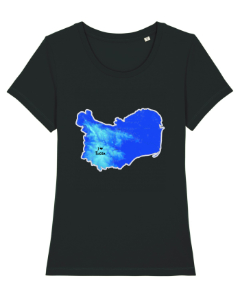 Tulcea County Map Black