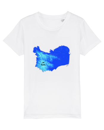 Tulcea County Map White