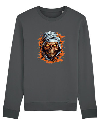 Mummy  Anthracite