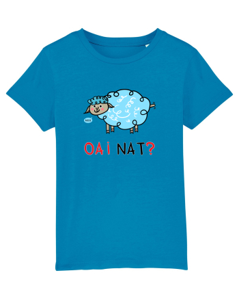OAI nat? Azur