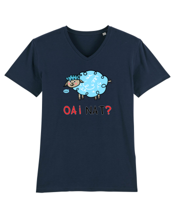 OAI nat? French Navy