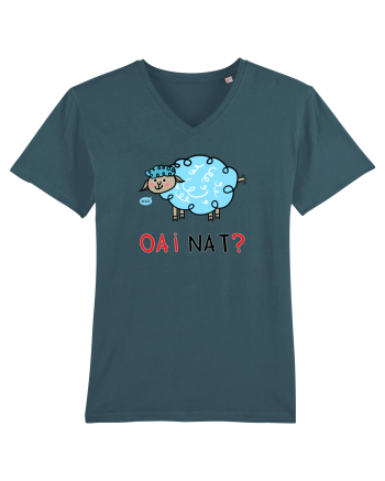OAI nat? Stargazer